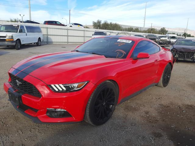 FORD MUSTANG  2015