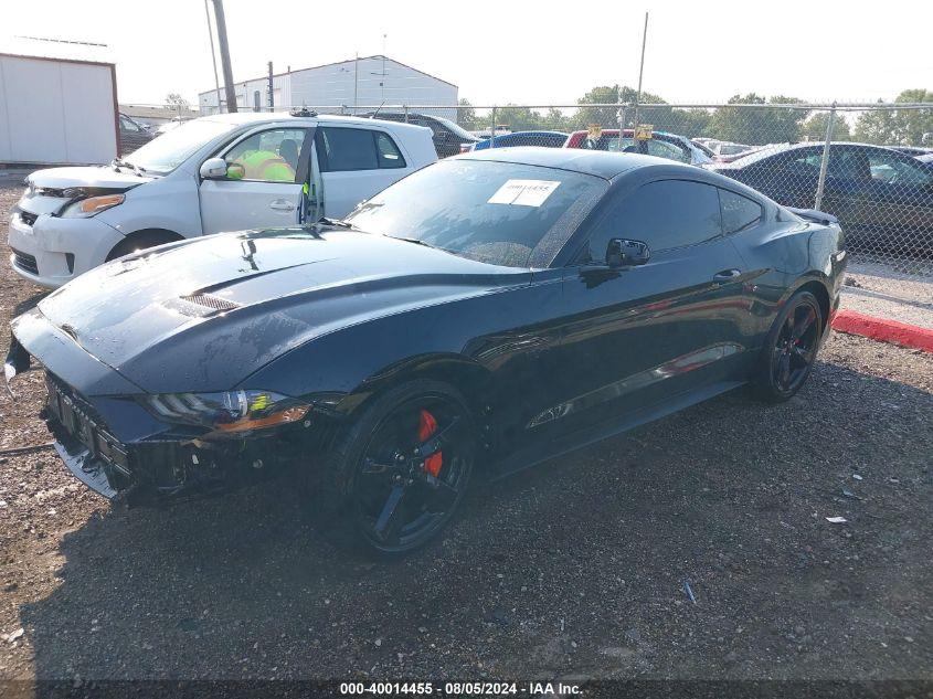 FORD MUSTANG GT FASTBACK 2022