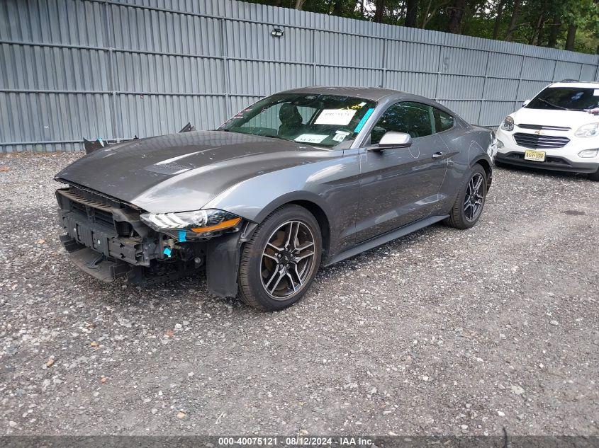 FORD MUSTANG ECOBOOST FASTBACK 2022