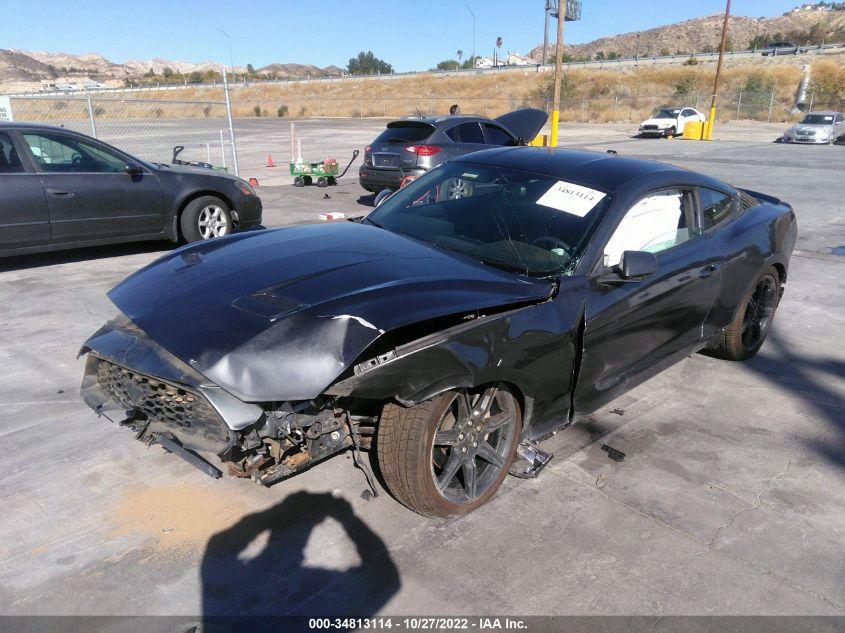 FORD MUSTANG ECOBOOST 2019