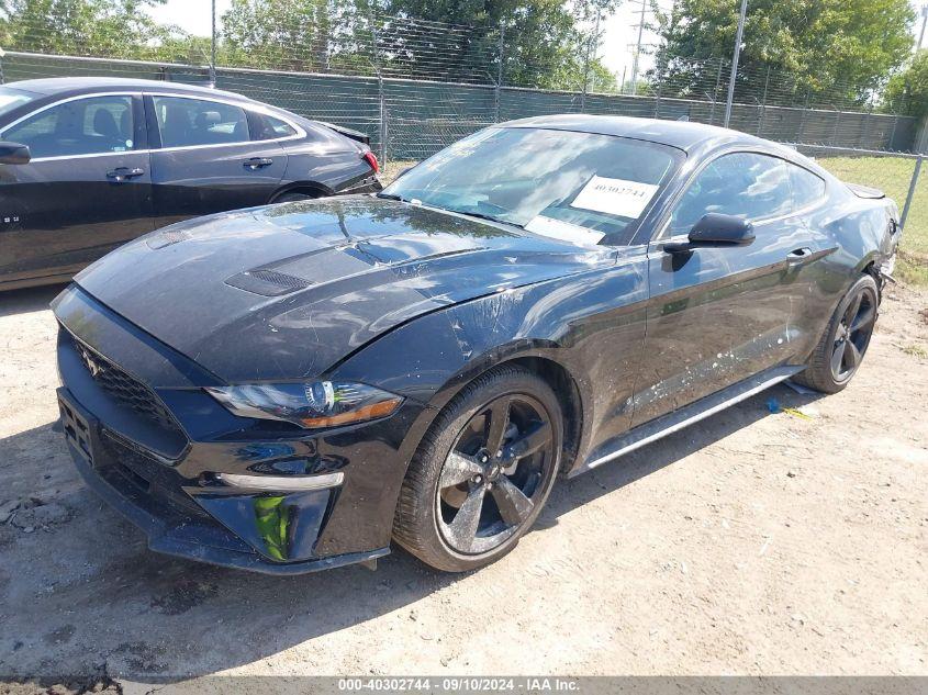 FORD MUSTANG ECOBOOST FASTBACK 2022