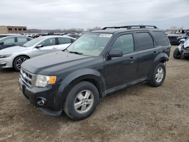 FORD ESCAPE XLT 2011