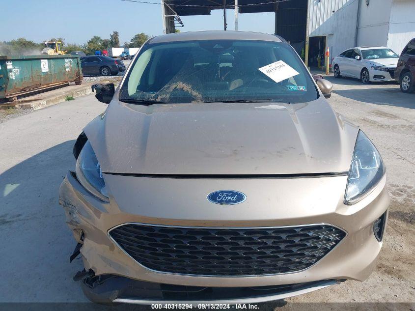 FORD ESCAPE SE 2020