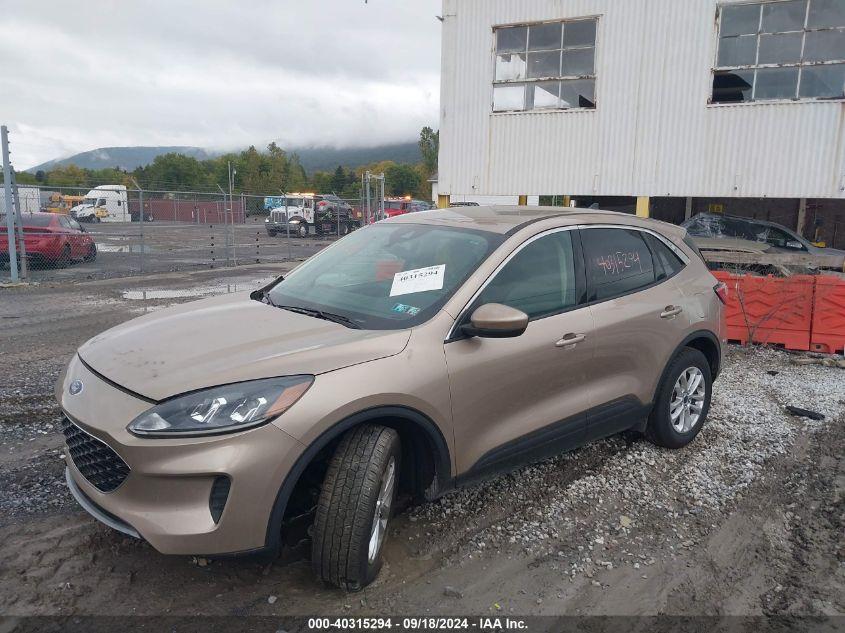 FORD ESCAPE SE 2020