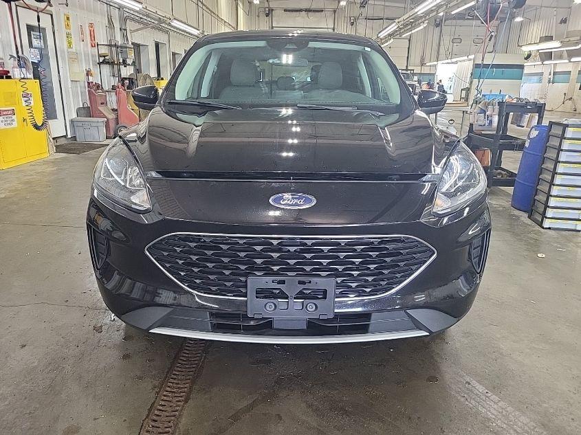 FORD ESCAPE SE 2021