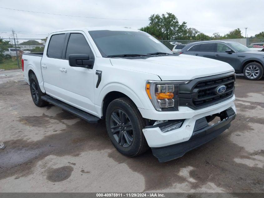 FORD F-150 XLT 2023