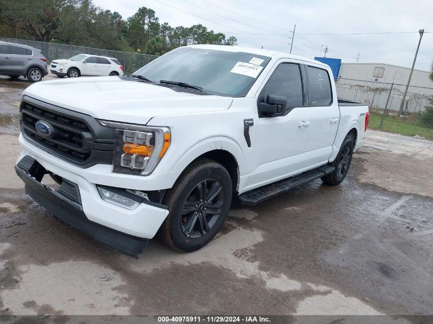 FORD F-150 XLT 2023