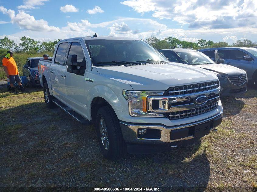 FORD F-150 XLT 2020