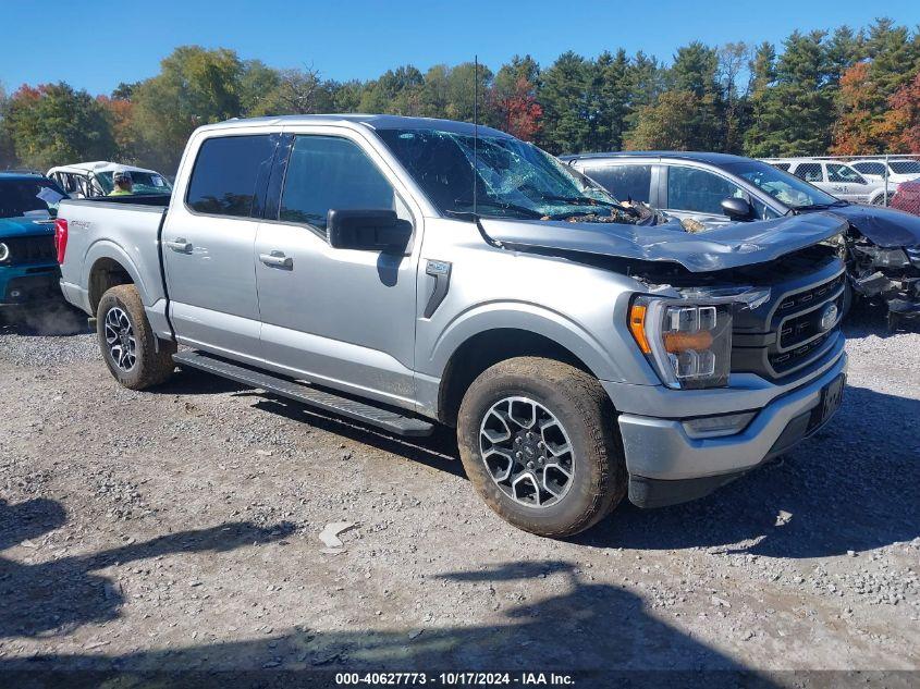 FORD F-150 XLT 2023