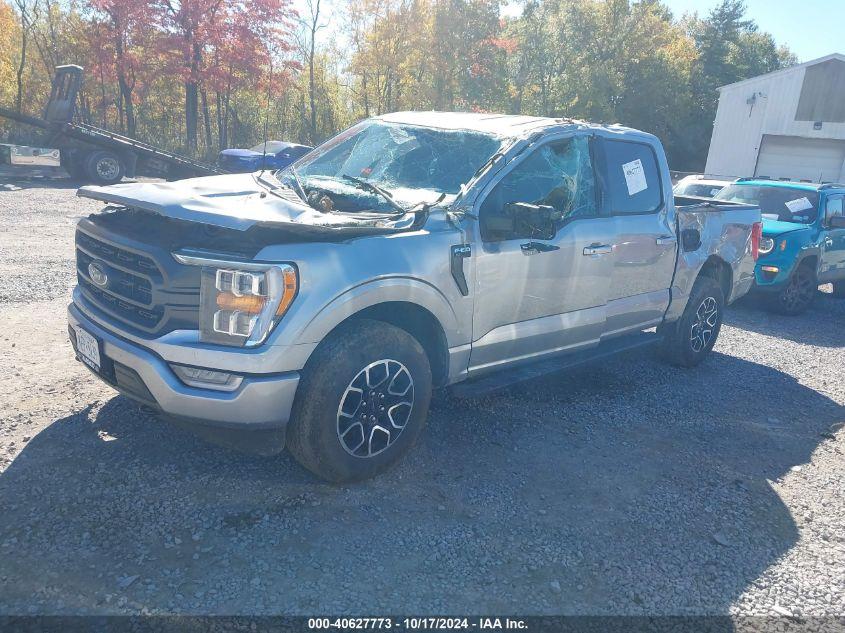 FORD F-150 XLT 2023