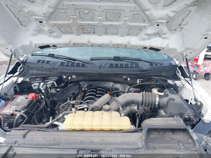 FORD F-150 XL 2020
