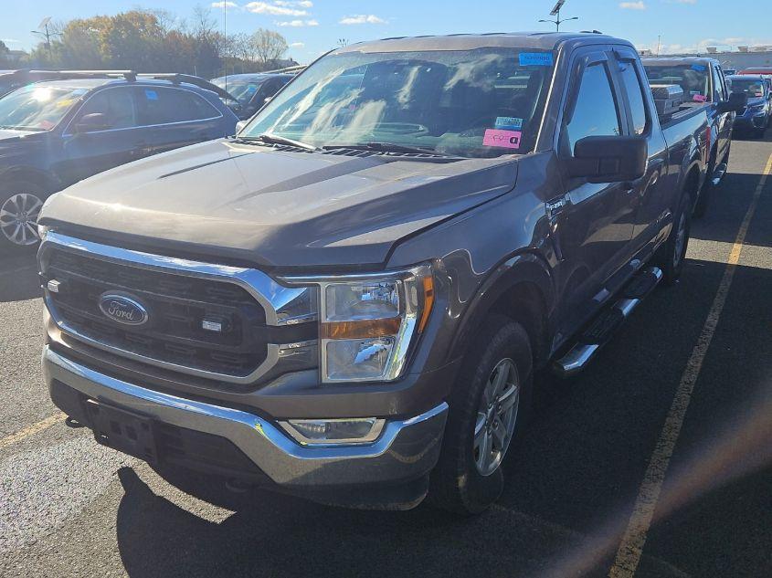 FORD F-150 XLT 2021