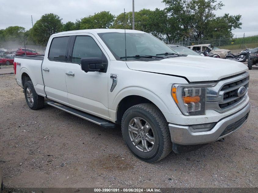 FORD F-150 XLT 2022