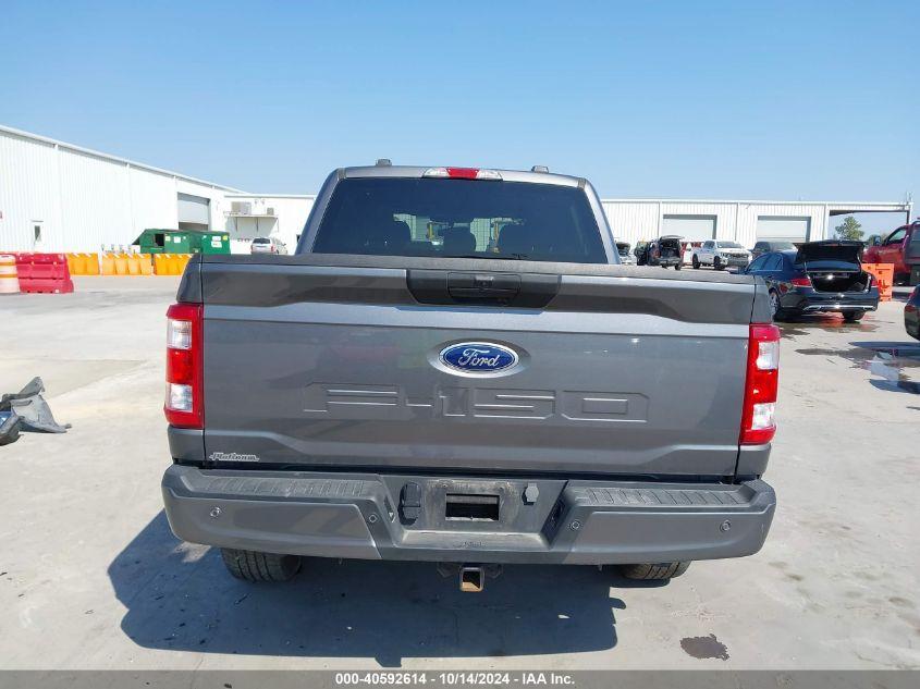 FORD F-150 XL 2023