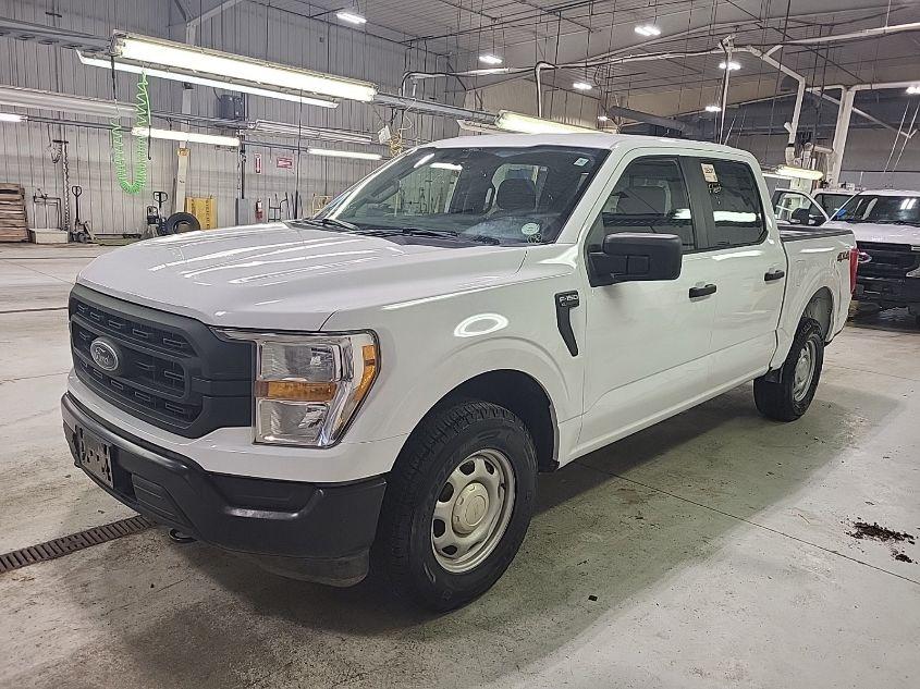 FORD F-150 XL 2021