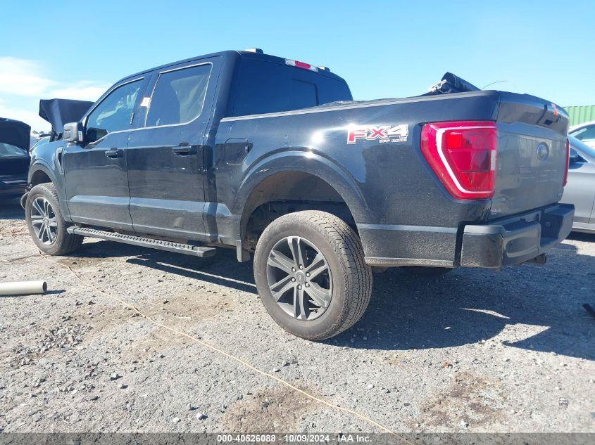 FORD F-150 XLT 2023