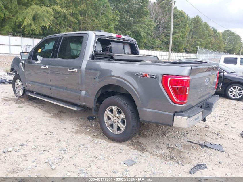 FORD F-150 XLT 2023