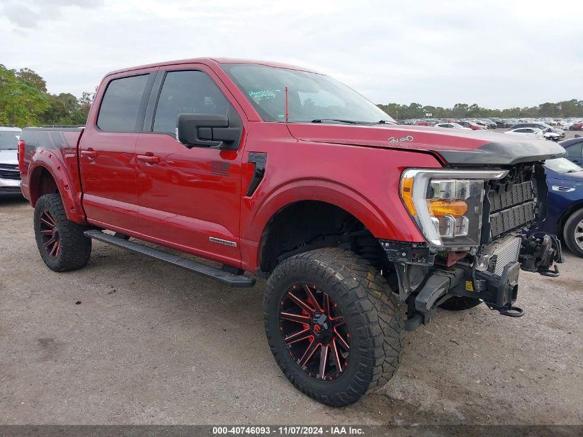 FORD F-150 XLT 2021