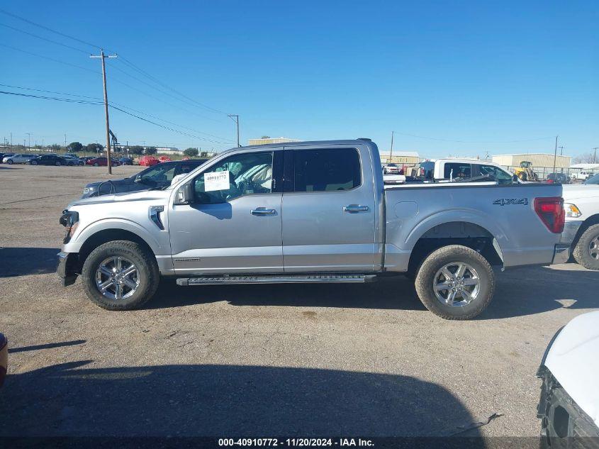 FORD F-150 XLT 2024