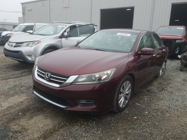 HONDA ACCORD EXL 2013