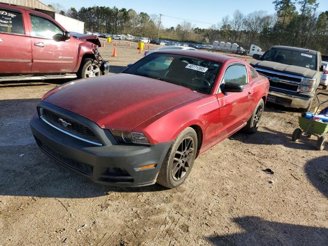 FORD MUSTANG  2014