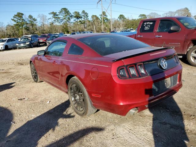 FORD MUSTANG  2014