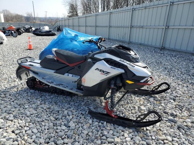 SKI DOO SNOWMOBILE MXZ 2024