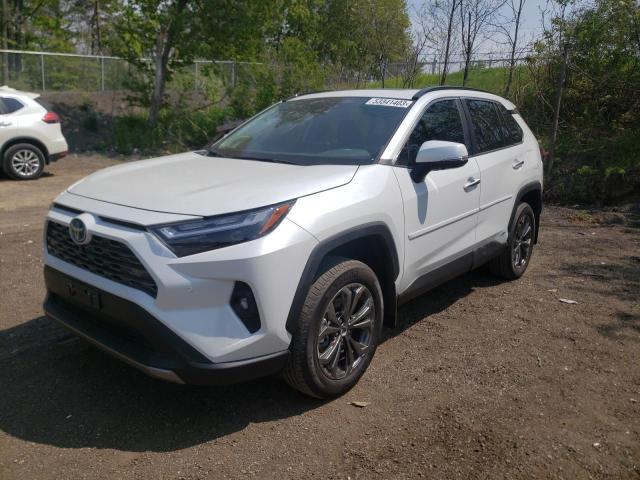 TOYOTA RAV4  2023