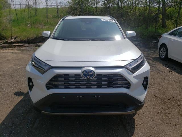 TOYOTA RAV4  2023