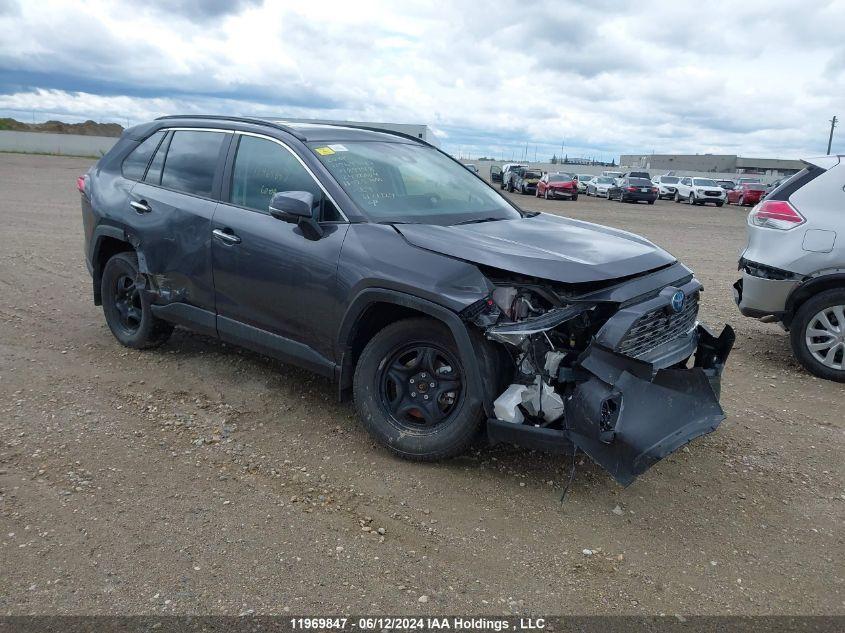 TOYOTA RAV4 HYBRID LIMITED 2024