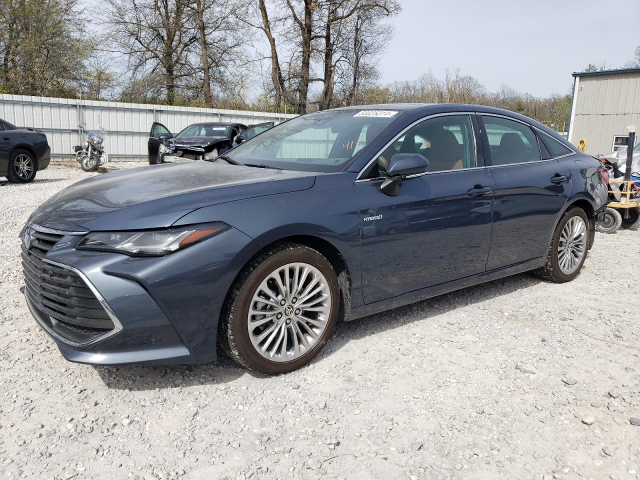 TOYOTA AVALON LIM LIM 2020