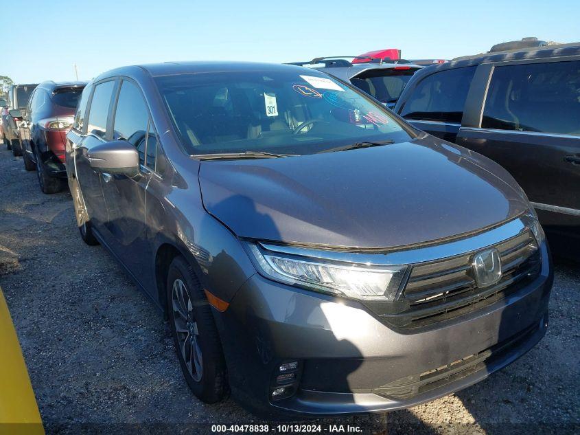 HONDA ODYSSEY EX-L 2024