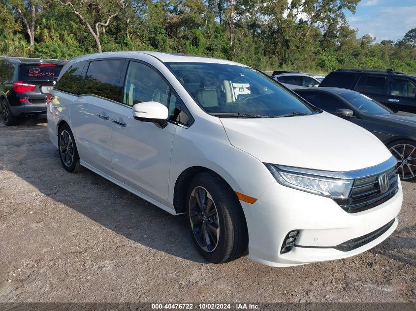 HONDA ODYSSEY ELITE 2024