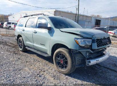 TOYOTA SEQUOIA TRD PRO 2021