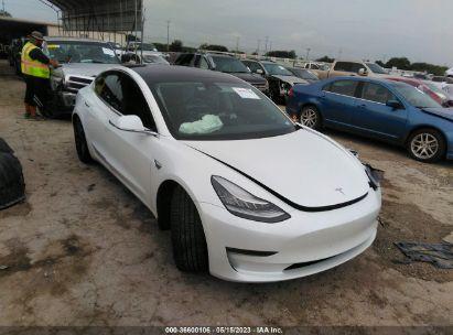 TESLA MODEL 3  2019