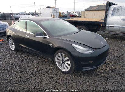 TESLA MODEL 3   2019