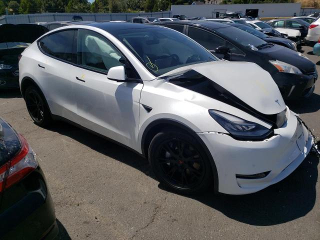 TESLA MODEL Y  2020