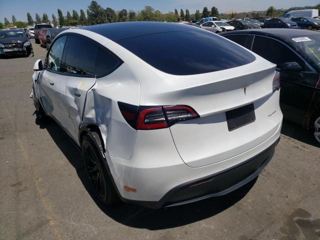 TESLA MODEL Y  2020