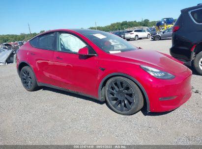 TESLA MODEL Y  2021