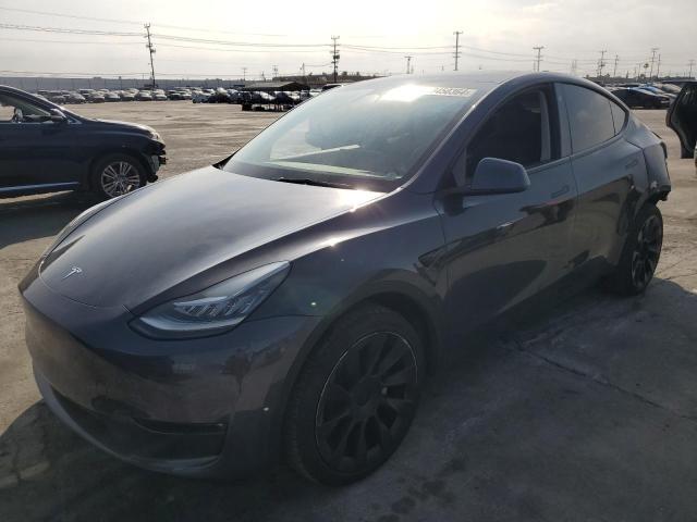 TESLA MODEL Y  2021