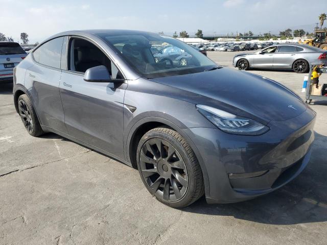 TESLA MODEL Y  2021