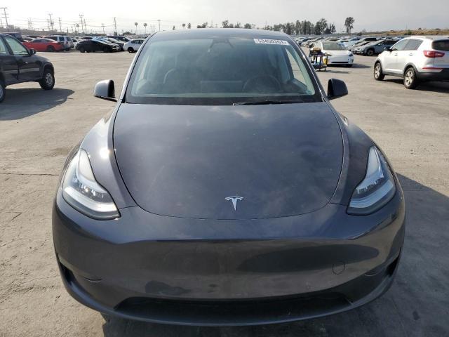 TESLA MODEL Y  2021