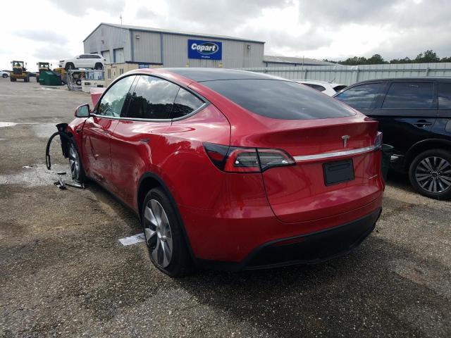 TESLA MODEL Y  2020