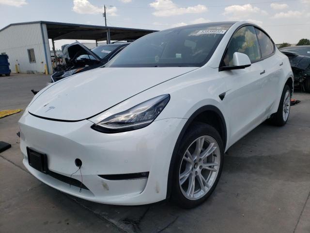 TESLA MODEL Y  2021