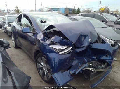 TESLA MODEL Y  2021