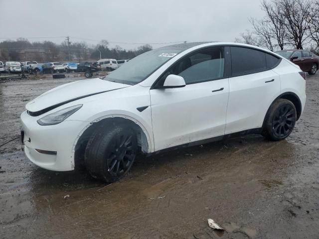 TESLA MODEL Y  2022