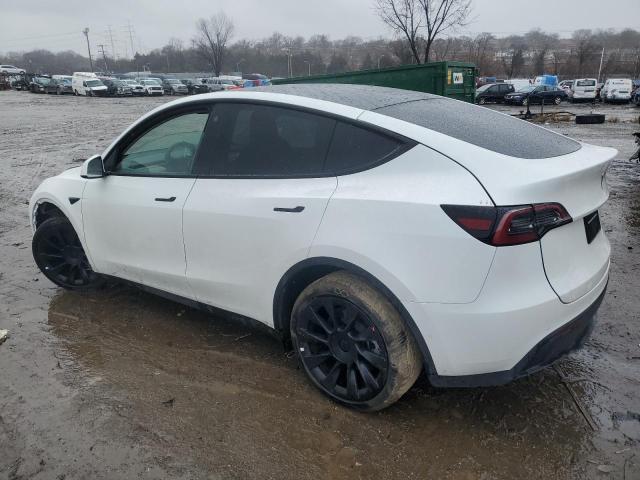 TESLA MODEL Y  2022