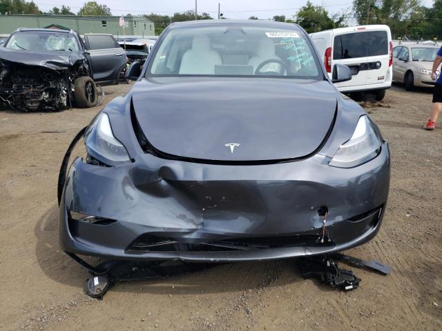 TESLA MODEL Y  2023