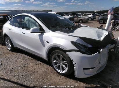 TESLA MODEL Y  2022