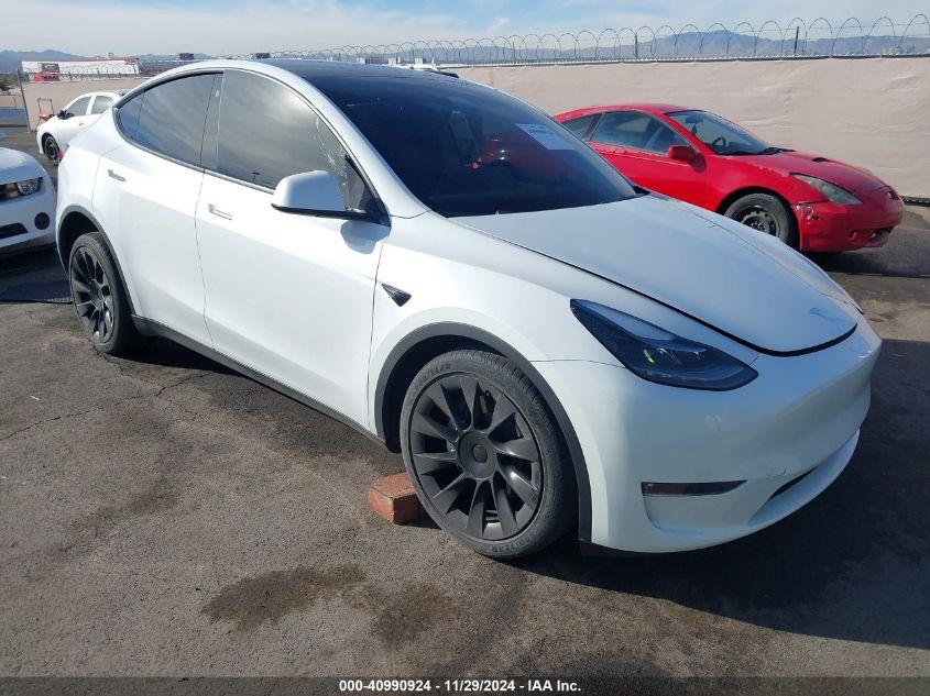 TESLA MODEL Y  2023